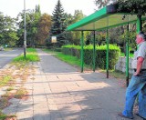 Sosnowiec: Milowice - dzielnica traktowana przez miasto po macoszemu?