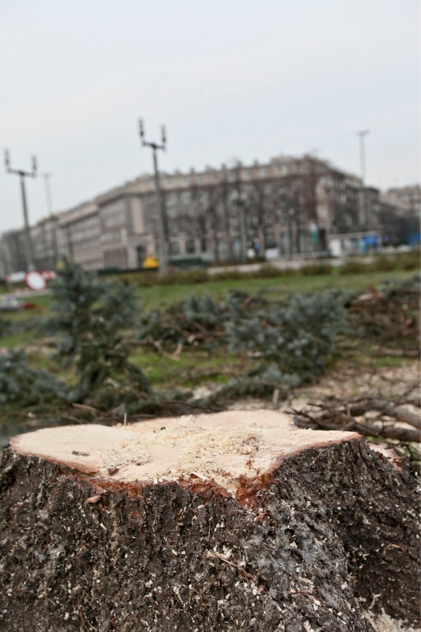 01.12.2014 krakow
kolejna wycinka drzew na placu...