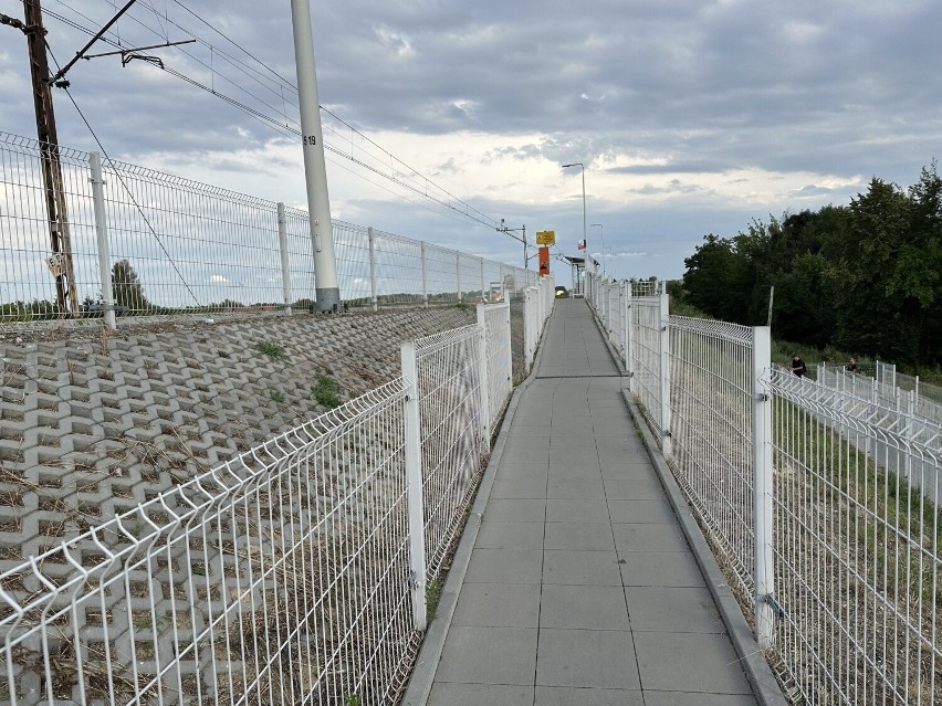 Co ze schodami na przystanek kolejowy w Wieluniu? Nasza interwencja skłania PKP PLK do ponownego pochylenia się nad inwestycją 