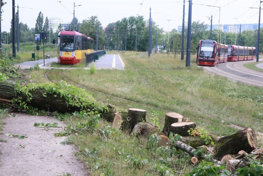 Zniszczenia po burzy w Łodzi 14 lipca 2021r. Jak idzie...