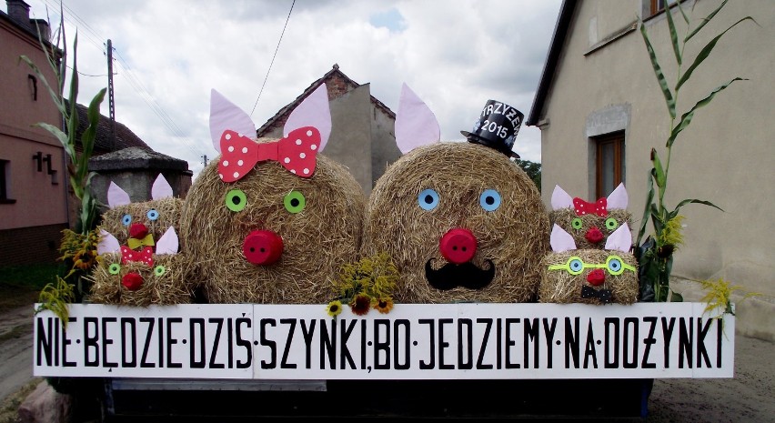 Dożynkowe dekoracje: Nądnia, Strzyżewo, Łomnica