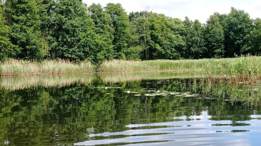 Jeziorko jest niestrzeżone