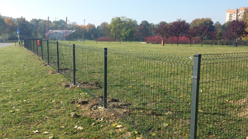 Na wysokości lecznicy dla zwierząt i Szkoły Podstawowej nr...