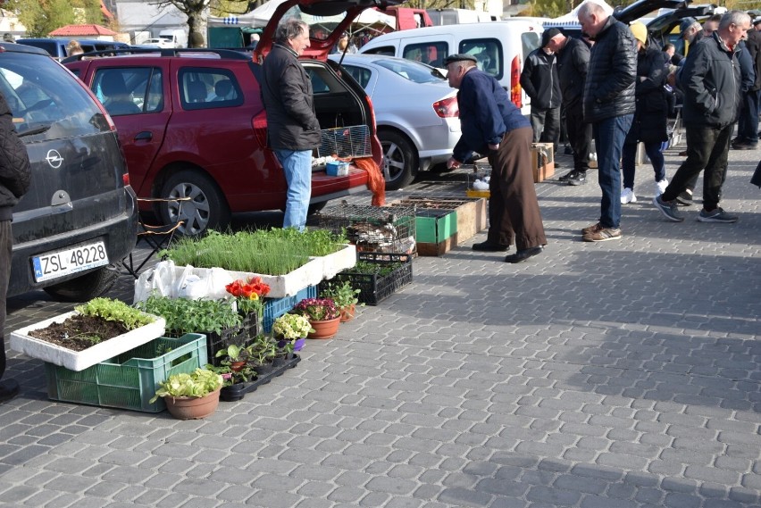 Niedziela handlowa na targu w Sławnie