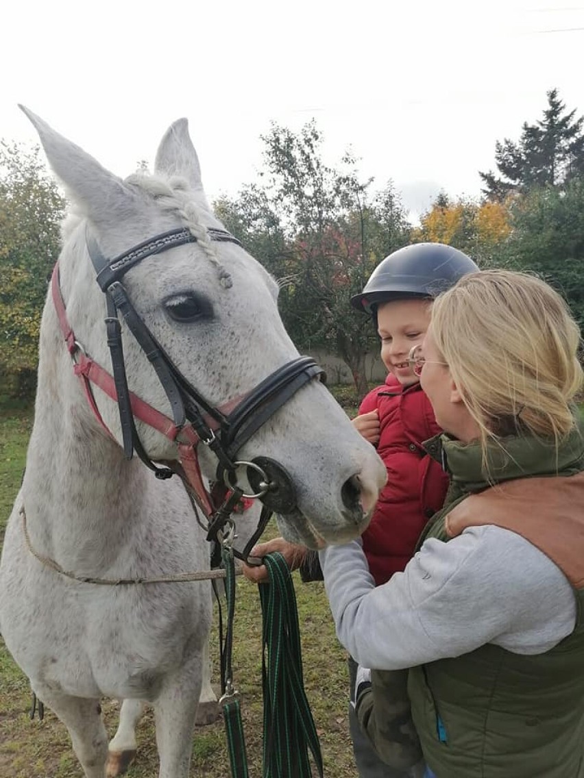 Hipoterapii w zagrodzie u ks. Marka Jelonka ciąg dalszy 