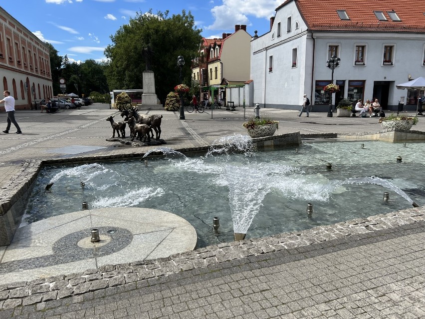 Na rynku w Mikołowie stanął pomnik... kóz. Mamy ZDJĘCIA