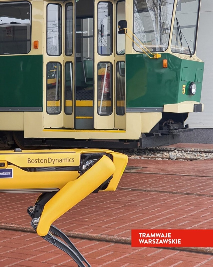 Pies-robot w zajezdni na Żoliborzu. Supernowoczesna maszyna będzie pracować przy sprawach tramwajowych?