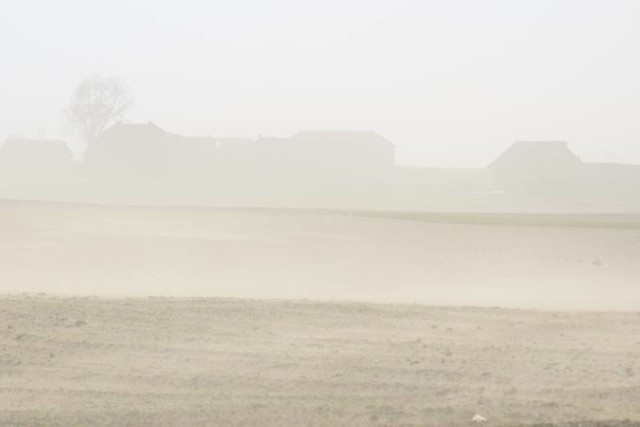 Od wczoraj w regionie wieje silny wiatr. Dzisiaj, w środę 24 kwietnia Instytut Meteorologii i Gospodarki Wodnej wydał ostrzeżenie dotyczące wiatru, który może osiągnąć nawet 80 km/h. Komenda Miejska Państwowej Straży Pożarnej w Toruniu otrzymała w sumie 68 zgłoszeń dotyczących niepokojących zjawisk pogodowych w powiecie toruńskim.

POLECAMY | Dołącz do grup na Facebooku:
Toruń Retro
Toruńskie Wiadomości, Ogłoszenia, Opinie
Wypadki i utrudnienia - Kujawsko-Pomorskie

Państwowy Instytut Badawczy IMGW wydał ostrzeżenie pierwszego stopnia dotyczące silnego południowo-wschodniego wiatru o średniej prędkości od 30 km/h do 45 km/h.