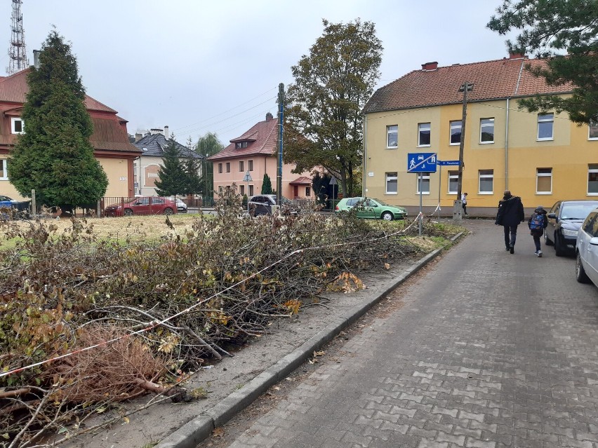 W Goleniowie będzie nowa kawiarnia. Takiej jeszcze nie ma