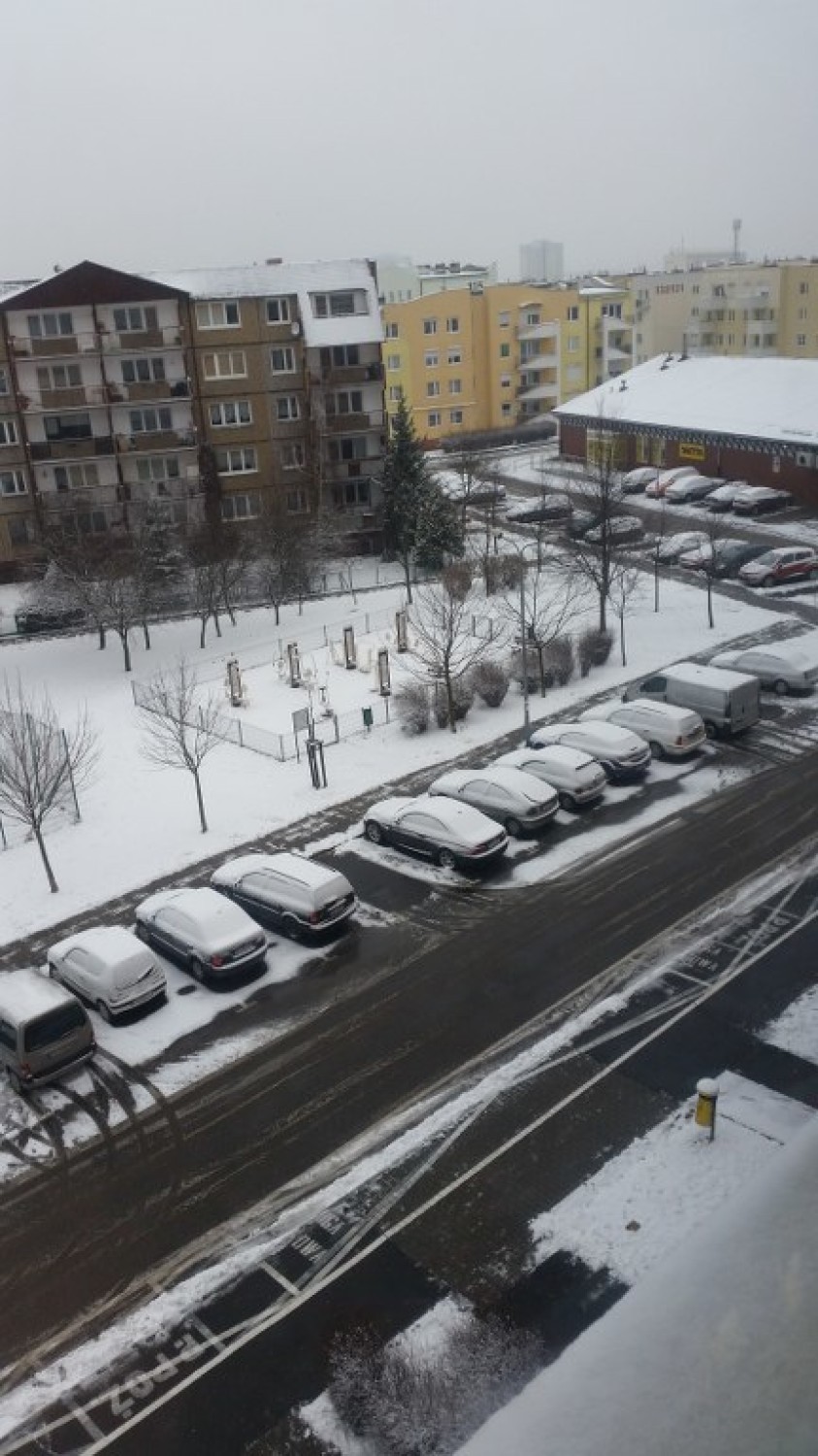 Opady śniegu, które wczoraj nadeszły nad Poznań sprawiły, że...