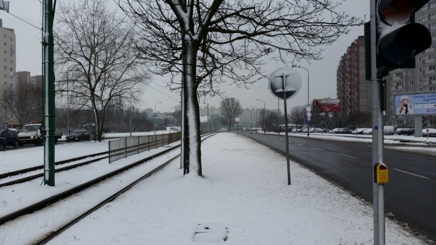 Opady śniegu, które wczoraj nadeszły nad Poznań sprawiły, że...