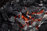 Ratusz w Środzie Wielkopolskiej podjął decyzję o dystrybucji węgla. Będzie tańszy