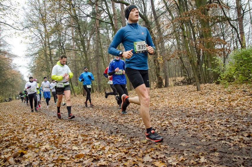 Bieg City Trail w Warszawie. Uczestnicy pobili rekord...