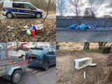 Kolejni "śmieciarze" ukarani przez Straż Miejską w Starachowicach (ZDJĘCIA)
