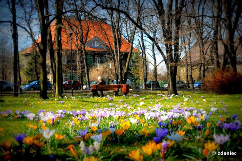 Wiosna w Gliwicach