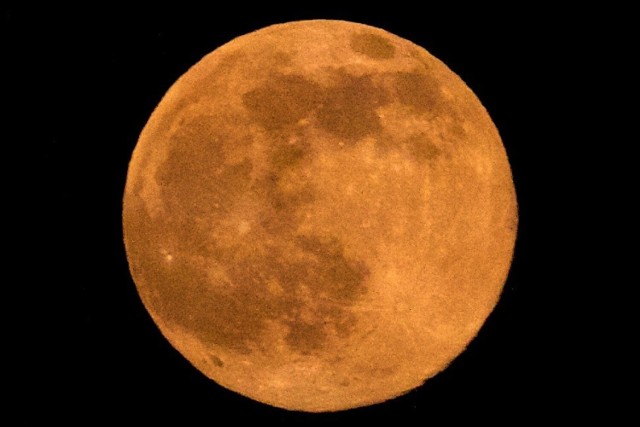 Truskawkowy księżyc zaobserwowany w 2016 roku.
