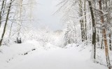 Piękna, tegoroczna zima w obiektywie naszej Czytelniczki Oli