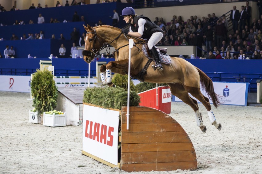 Cavaliada 2017, Warszawa. Najlepsi jeźdźcy i piękne konie...