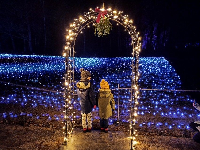 W Śląskim Ogrodzie Zoologicznym powstał Christmas Garden. Baśniowe iluminacje można oglądać do połowy stycznia