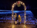 W Śląskim Ogrodzie Zoologicznym powstał Christmas Garden. Baśniowe iluminacje można oglądać do połowy stycznia 2023 roku