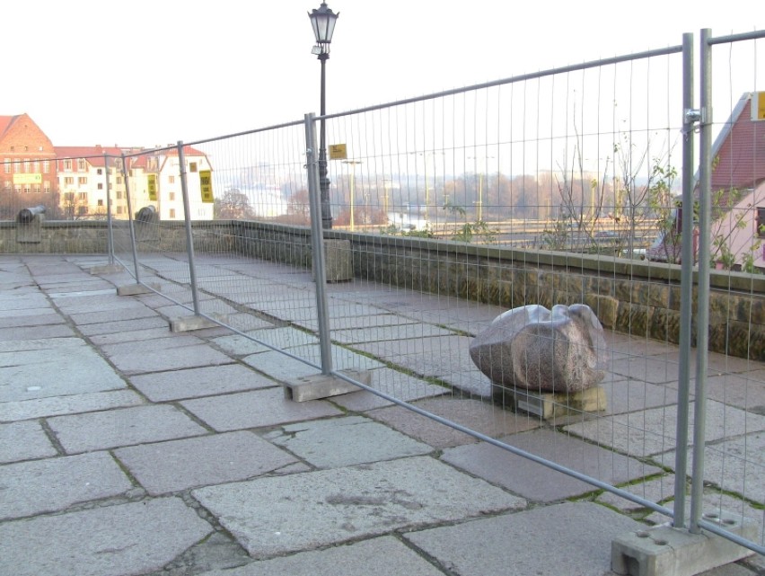 Skarpa u podnóża Zamku Książąt Pomorskich jest w coraz...