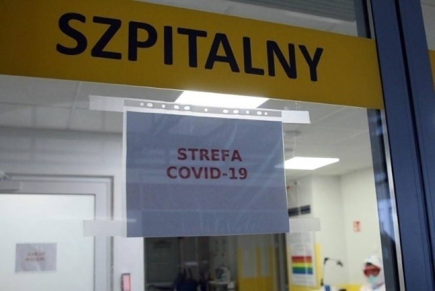 Codzienny raport zachorowań na koronawirusa w Szczecinie i...