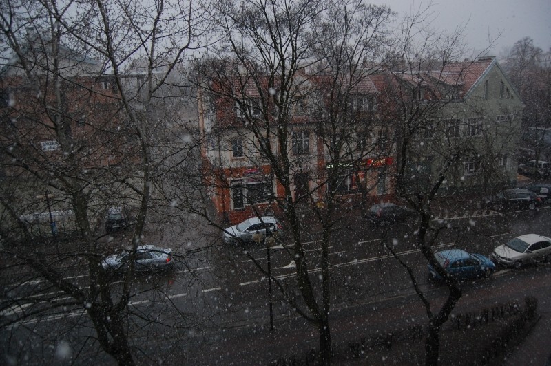 Zima w Kwidzynie: Biały puch znów na ulicach Kwidzyna. Macie swoje zdjęcia?