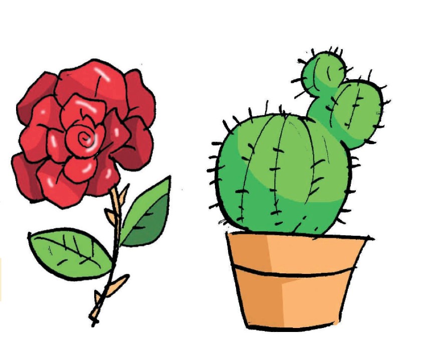 Plebiscyt Róża i Kaktus Roku 2014