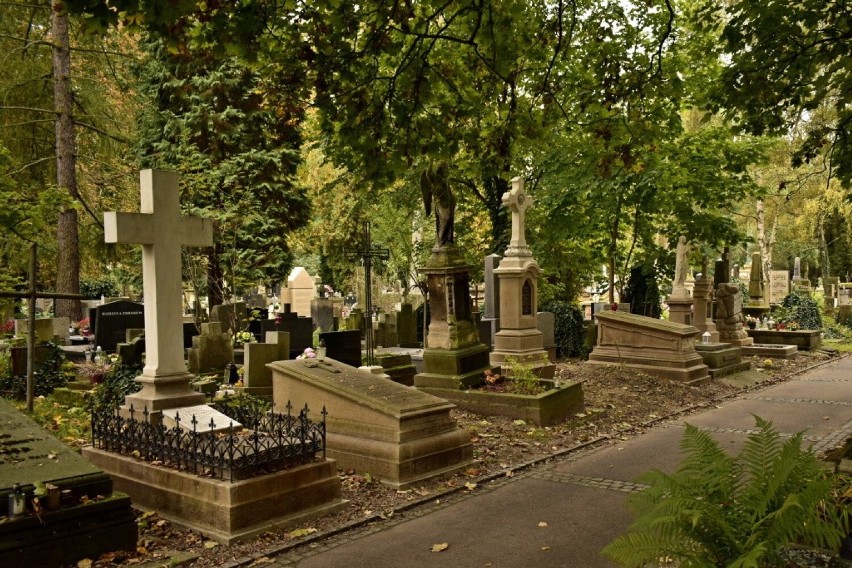 Przywracanie pamięci. Renowacja zabytkowych i wojennych grobów na krakowskich cmentarzach