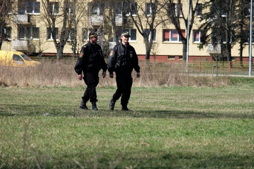 Zgłoś się do Straży Miejskiej. Rusza nabór na pięć stanowisk                      