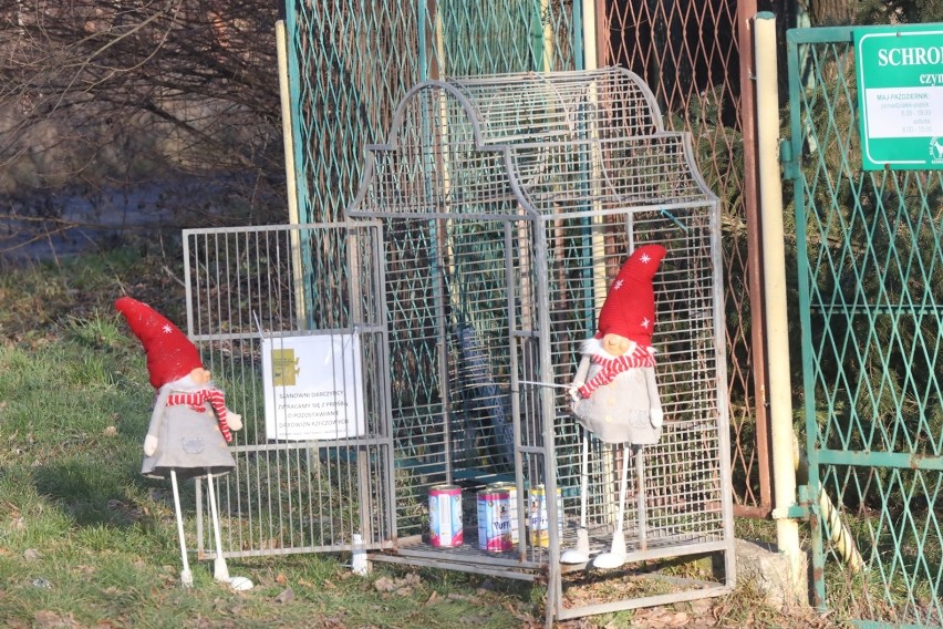 Legnickie schronisko pomaga pieskom w Zielonej Górze