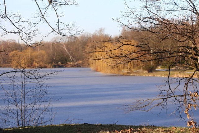 Park Śląski w Chorzowie w obiektywie naszej fotoreporterki. Zobaczcie zdjęcia >>>