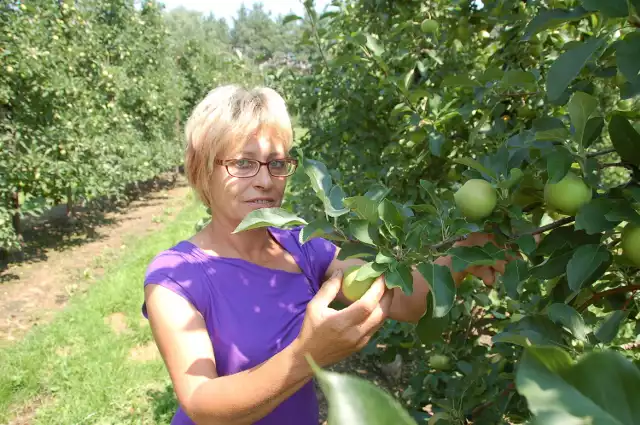 Barbara Kubis jest pielęgniarką z zawodu, ale swoje życie poświęciła prowadzeniu sadu