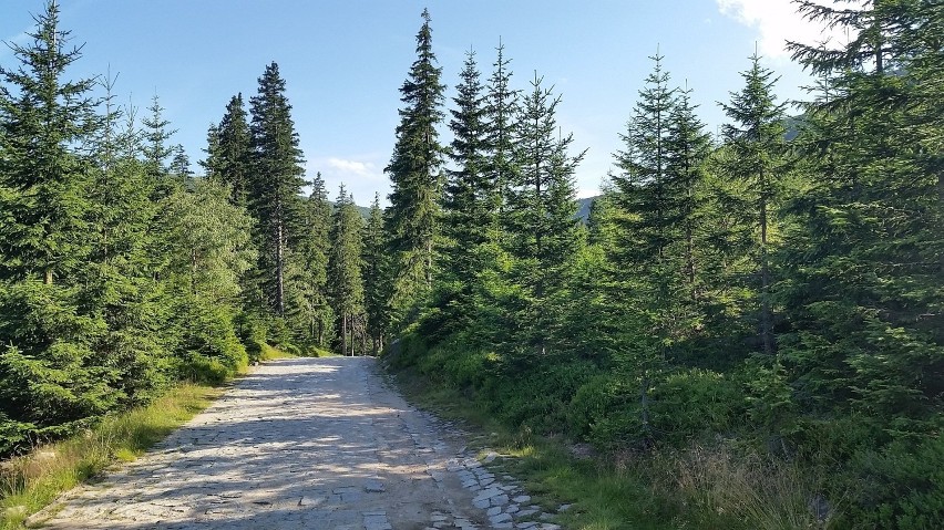 Jaka będzie pogoda w sierpniu w górach? Dobre temperatury...