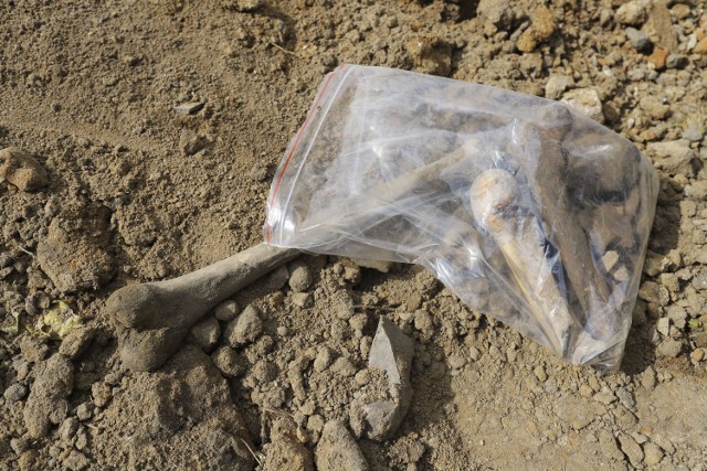 Ludzkie kości znajdowały się w pryzmie ziemi przywiezionej na prywatny teren w Trzcinicy. (zdjęcie poglądowe)