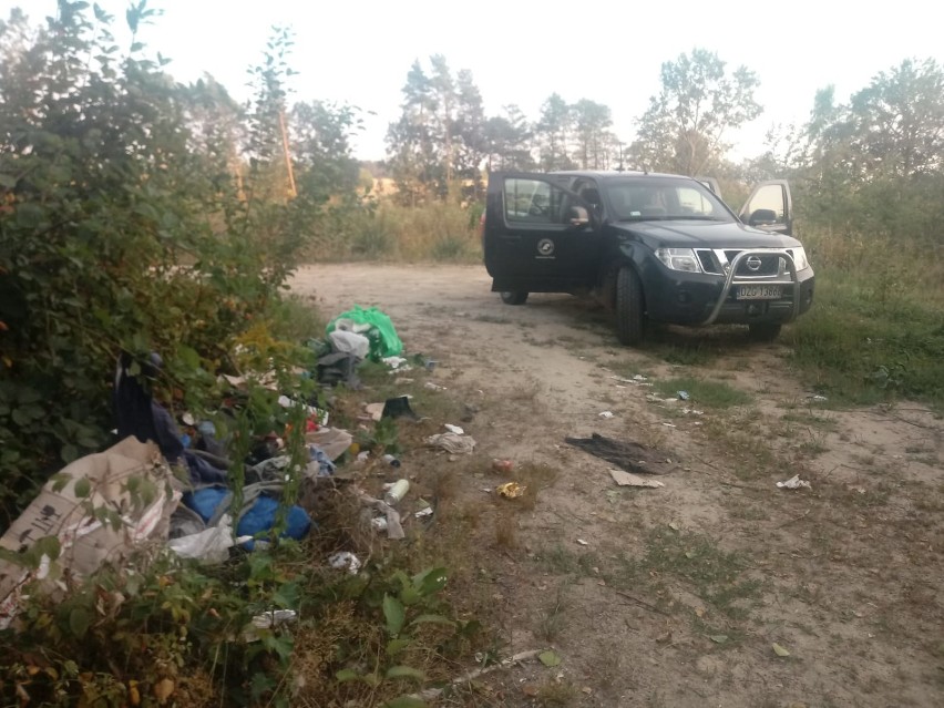 Kolejne nielegalne wysypisko śmieci w lubańskim lesie!