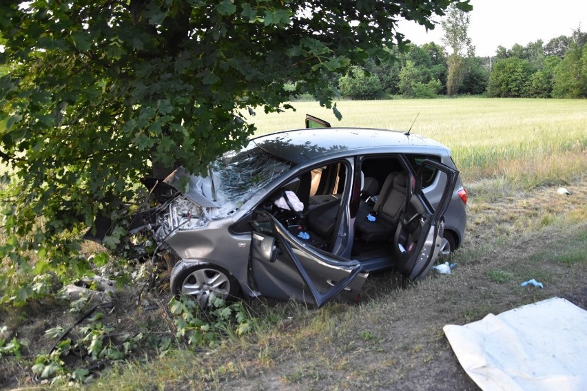 Poważny wypadek w Paproci. Opel rozbił się na drzewie