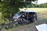 Poważny wypadek w Paproci. Opel rozbił się na drzewie [ZDJĘCIA]