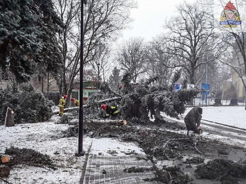 Minął rok od śnieżnej nawałnicy, która spustoszyła Polskę, w tym Łódzkie. Z jak niezwykłym zjawiskiem mieliśmy do czynienia? ZDJĘCIA, PRACA