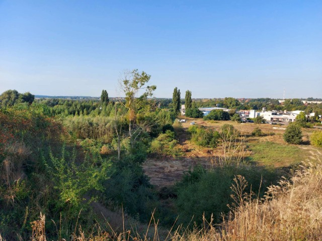 W ciągu najbliższego roku w Międzychodzie powstanie nowe centrum handlowe? (10.09.2021)