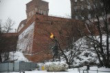 Kraków. Smok Wawelski znów czuje się znakomicie i... zieje ogniem