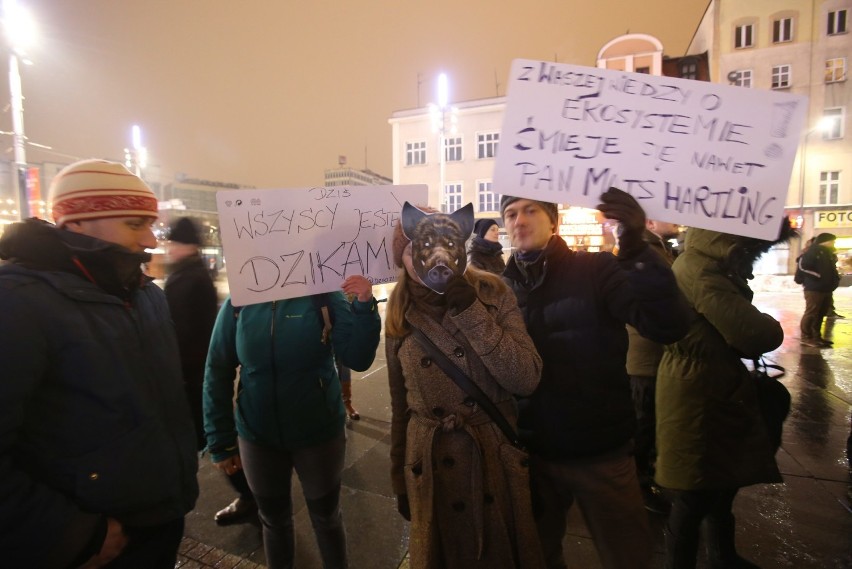 „Nie dla masowego odstrzału dzików” - demonstracja w...