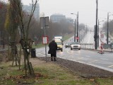 Powrót tramwaju linii 14 na al. Śmigłego-Rydza. Duże zmiany w rozkładzie.