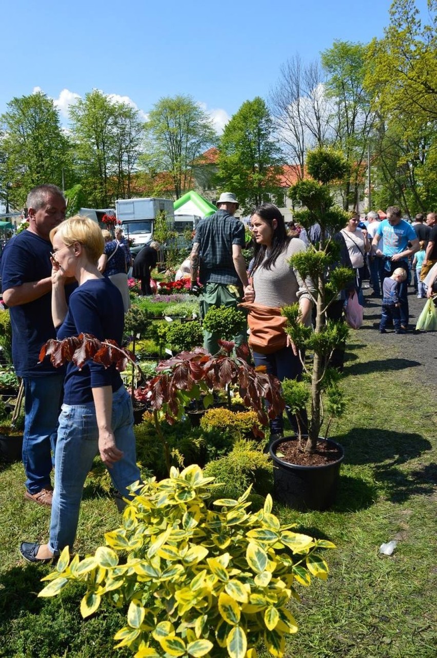 Piotrkowskie Targi Ogrodnicze 2017