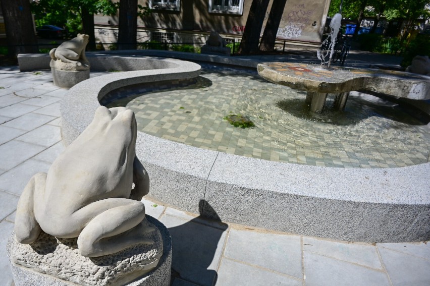 Legendarne kamienne żabki powróciły na Muranów. Ozdobiły fontannę na zacisznym podwórku przy ulicy Nowolipie