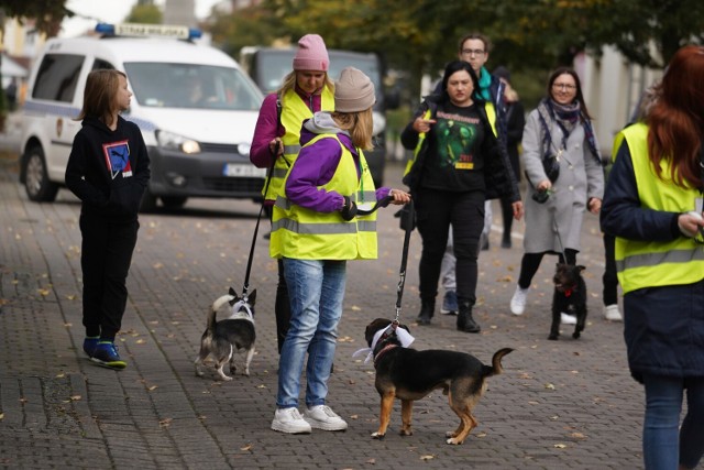 Korowód przeszedł ulicą 3 Maja do Starego Rynku we Włocławku