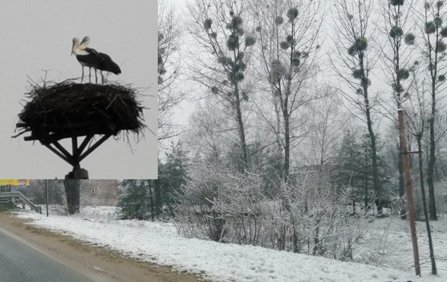 Zima w Małopolsce zachodniej