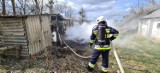 Strażacy z powiatu kwidzyńskiego wyjeżdżali do 24 interwencji. Ogień gaszono najczęściej na terenie miasta i gminy Prabuty