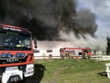 Pożar stadniny koni pod Krosnem Odrzańskim! Właściciele stracili dorobek życia. W internecie ruszyła zbiórka pieniędzy