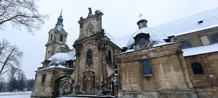 Zima w pełni w Jędrzejowie. Śnieg zawitał do naszego miasta. Zobaczcie zdjęcia białego puchu i... łabędzi